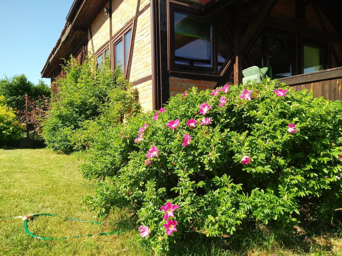 Natura Apartamenty Swaderki 외부 사진